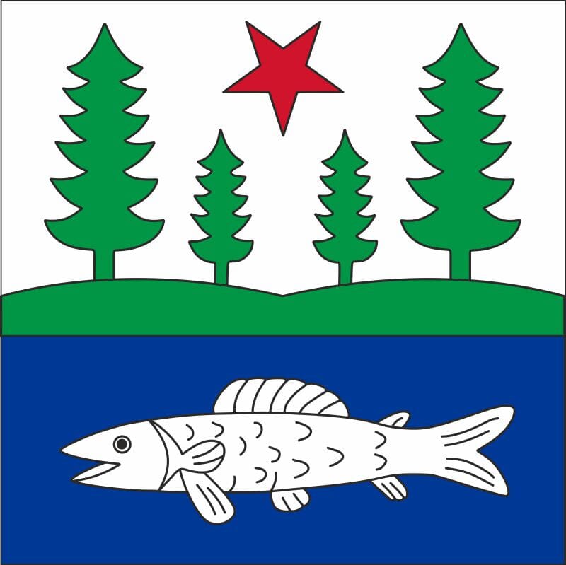 Fahne Gemeinde 5617 Tennwil Ehemalige Gemeinde (AG) | 30 x 30 cm und Gr&ouml;sser - Bild 1