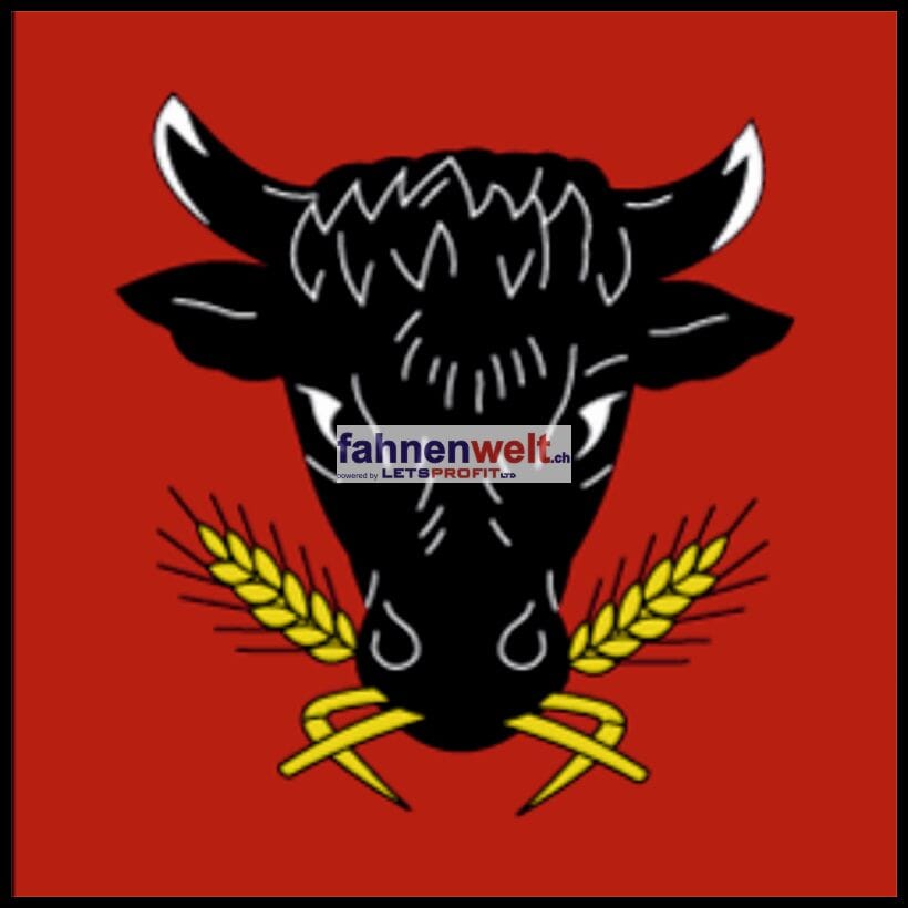 Fahne Gemeinde 3983 M&ouml;rel Ehemalige Gemeinde (VS) | 30 x 30 cm und Gr&ouml;sser - Bild 1