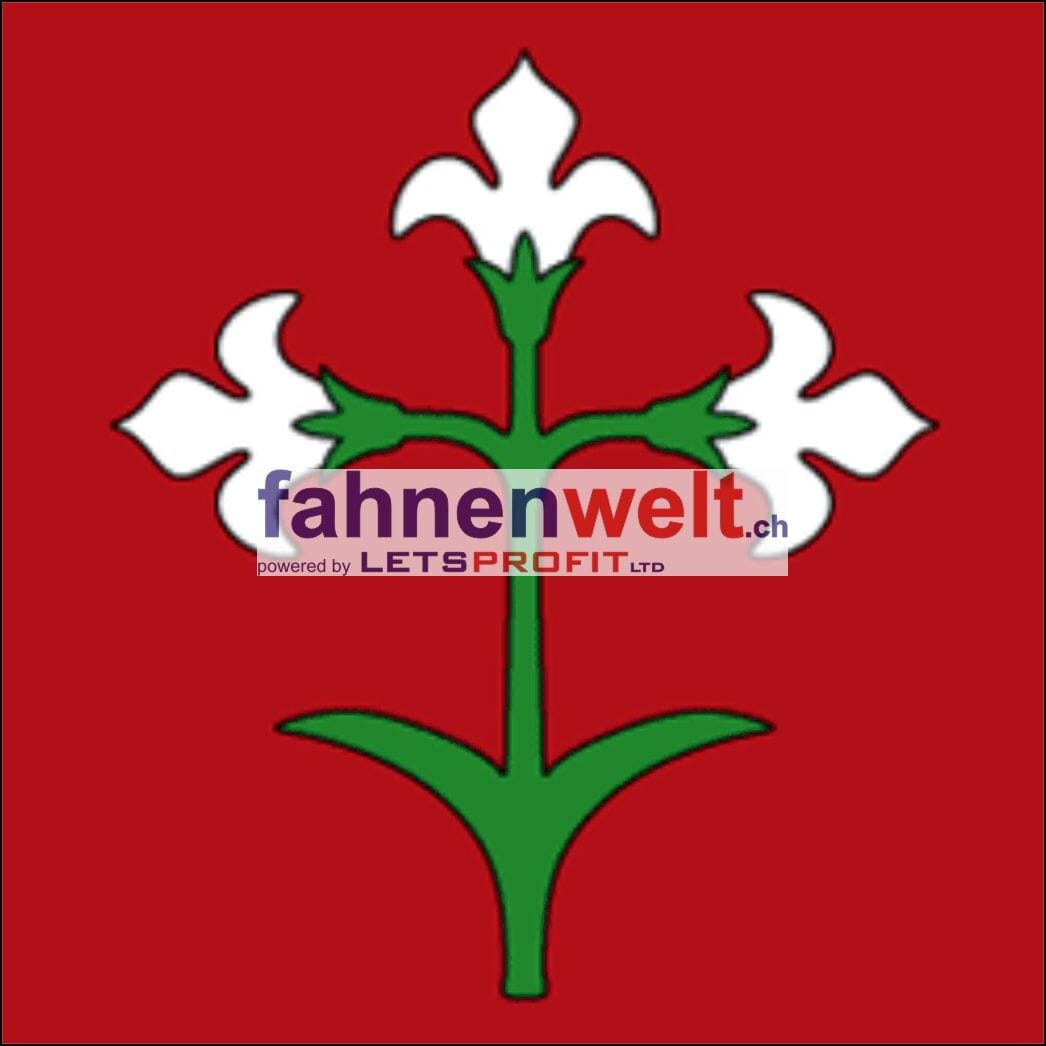 Fahne Gemeinde 6547 Augio Ehemalige Gemeinde (GR) | 30 x 30 cm und Gr&ouml;sser - Bild 1