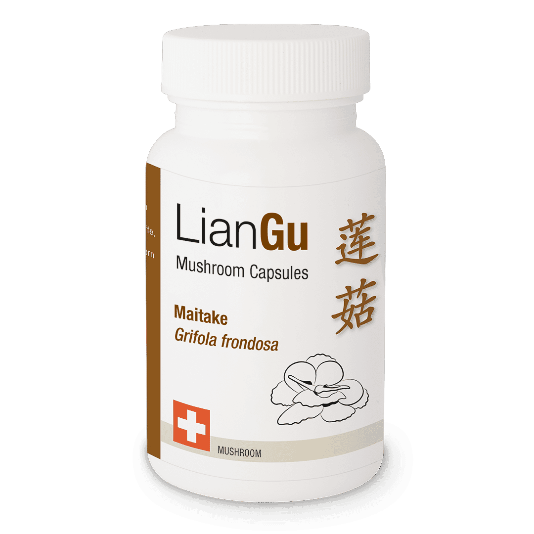 Review LianGu Maitake 60 Stk.