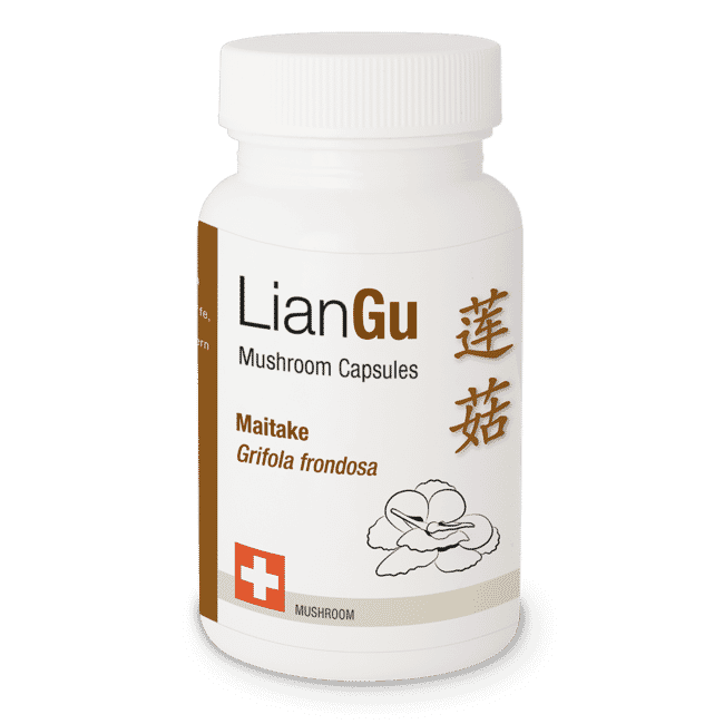 LianGu Maitake 60 Stk.