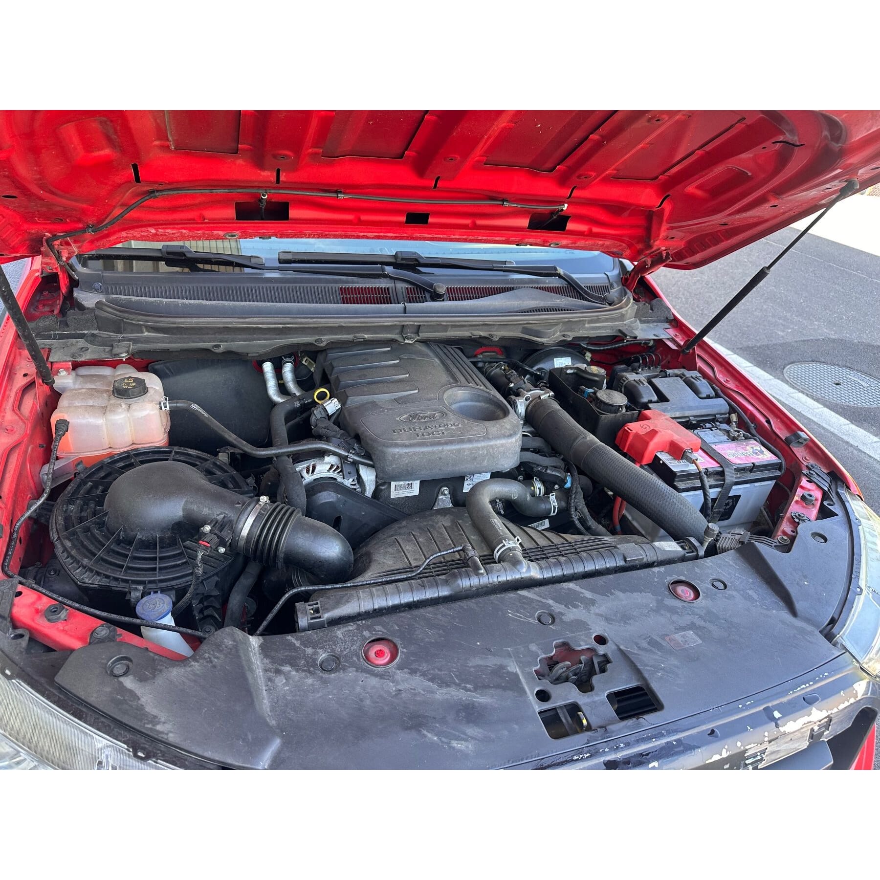 Ford Ranger Pickup, ideales Nutzfahrzeug, Jg 2016