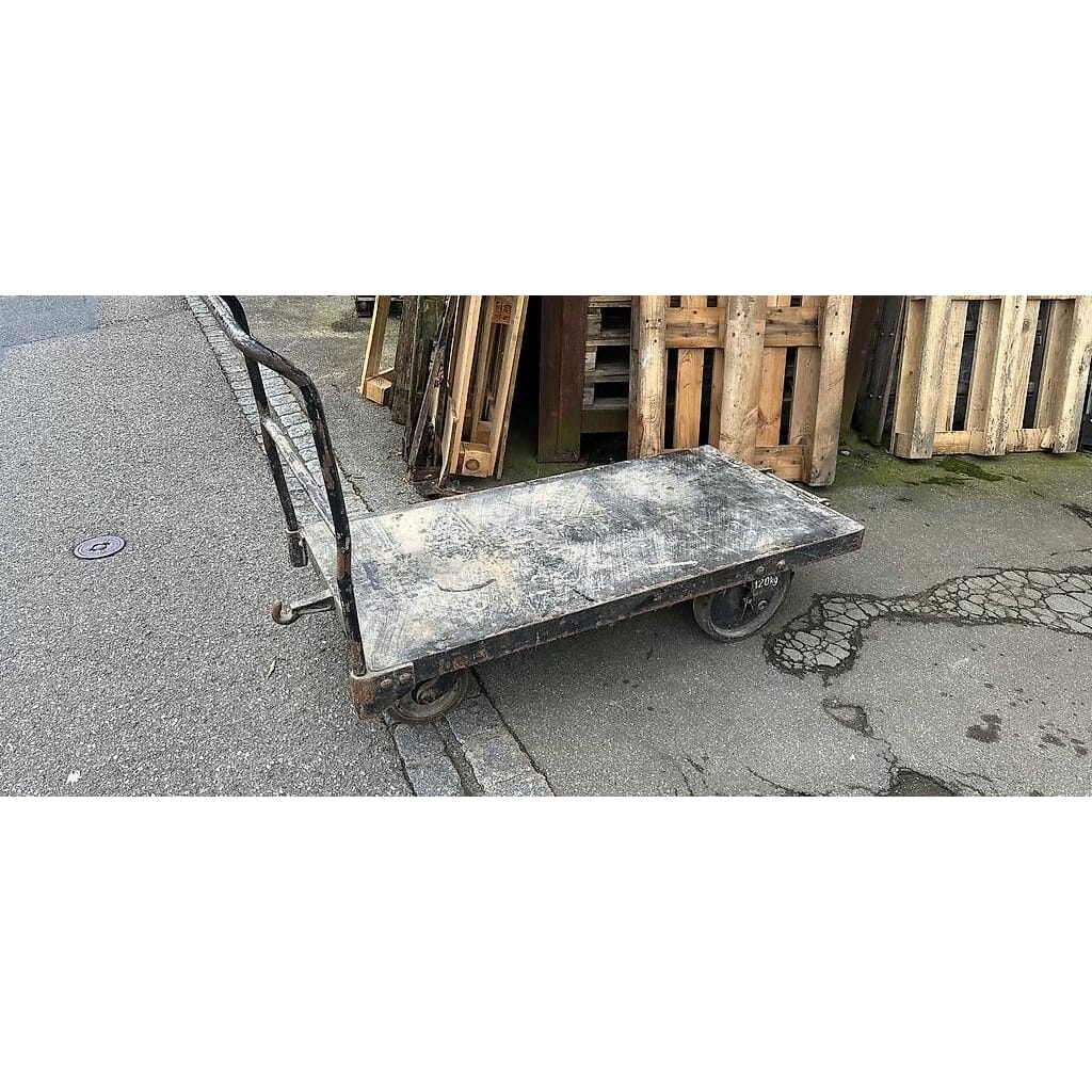 massiver Plattformwagen 140x70cm