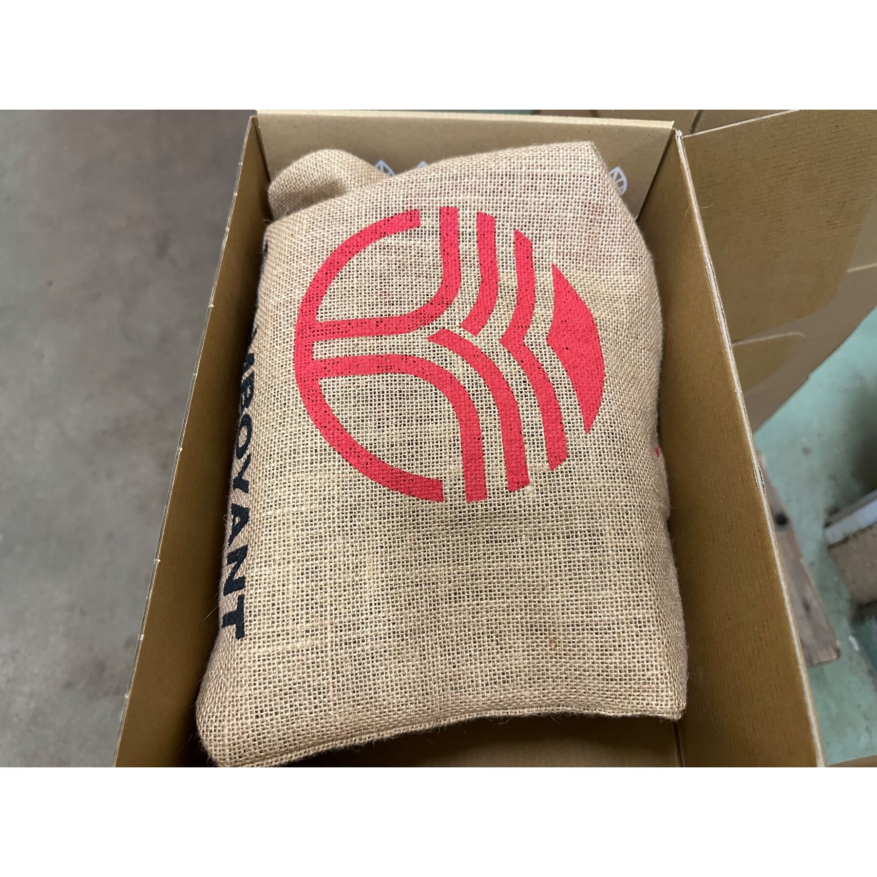 neue Beflamboyant Vegane Sneakers UX68- Caramel Gr.38